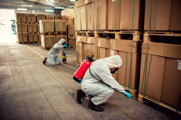 Best Affordable Exterminators  in Gunter, TX