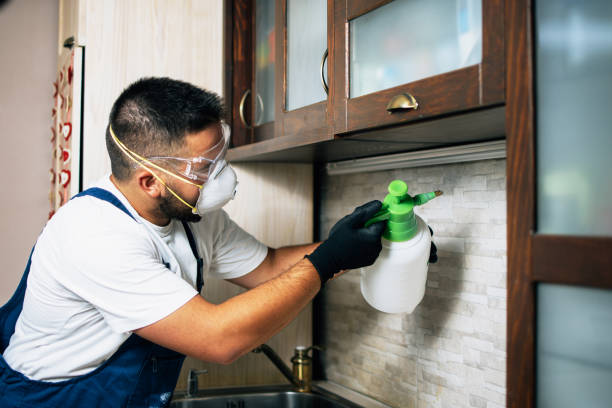 Best Mosquito Control Services  in Gunter, TX