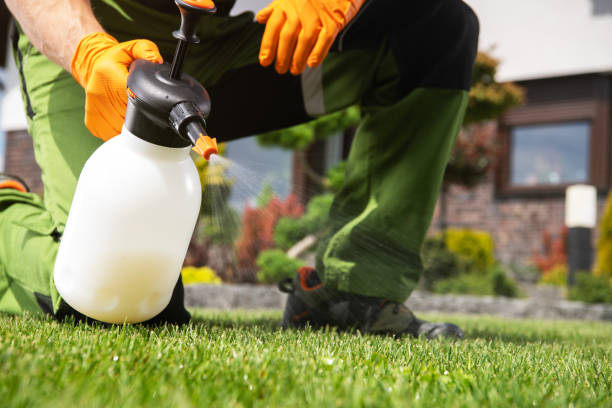 Best Pest Inspection Near Me  in Gunter, TX