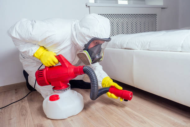 Best Pest Prevention Services  in Gunter, TX