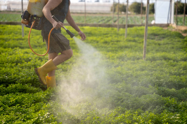 Best Pest Control Near Me  in Gunter, TX