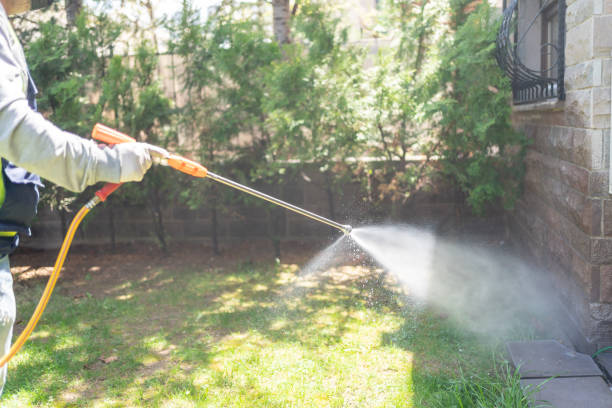 Wasp Removal Services in Gunter, TX