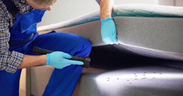 Best Wasp Removal Services  in Gunter, TX