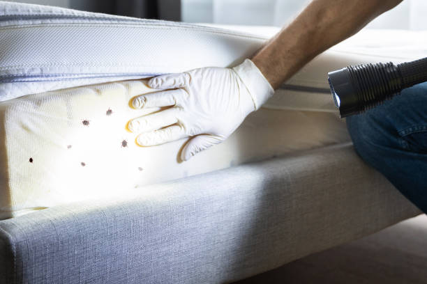 Best Commercial Pest Control Services  in Gunter, TX