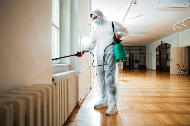 Trusted Gunter, TX Pest Control Experts